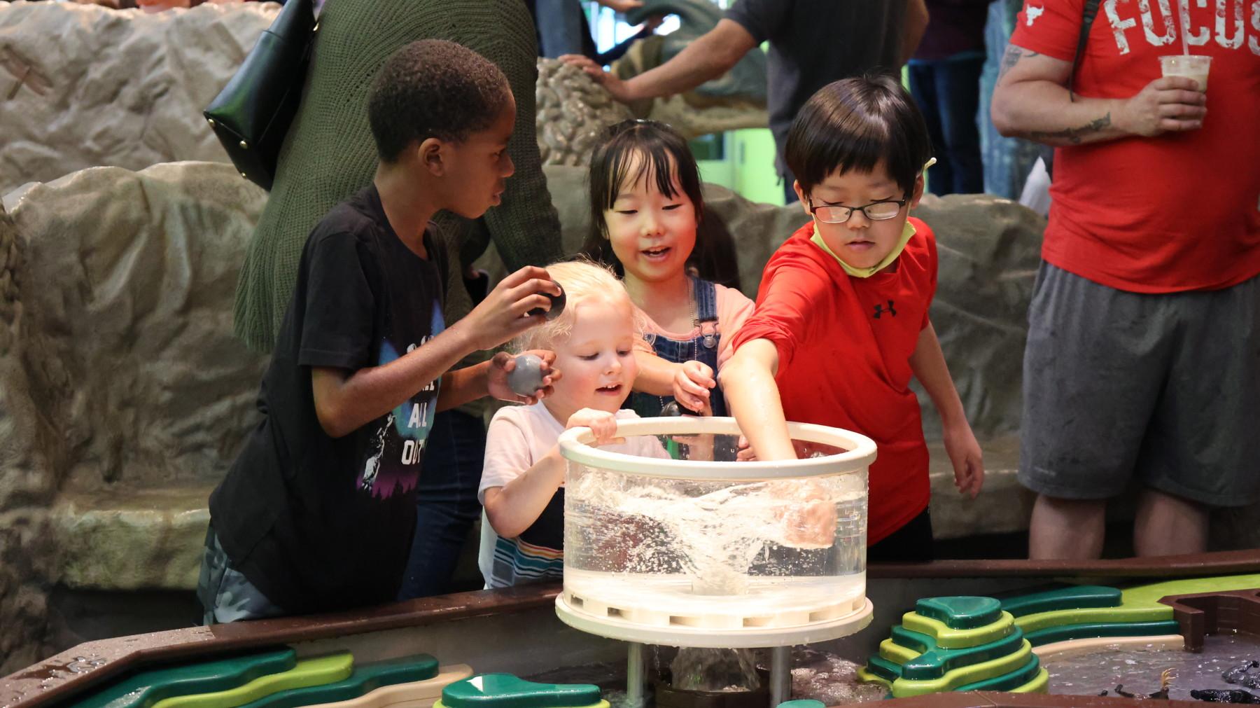 denver museum of nature & science photo 3