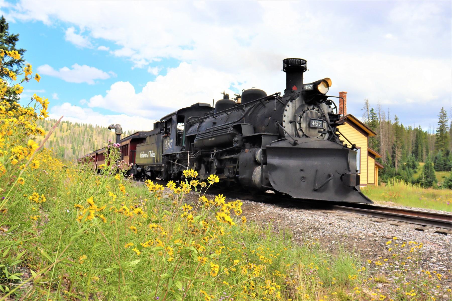 climb aboard in july or august and view some rocky mountain wildflowers.  photo 5