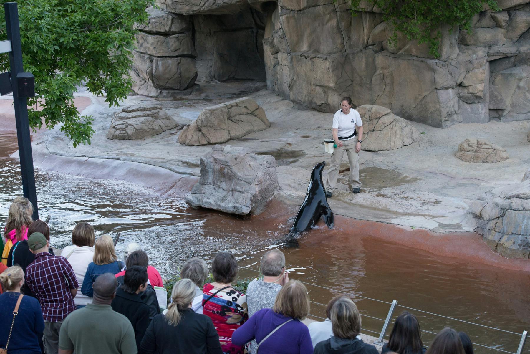 animal demonstration in northern shores photo 3