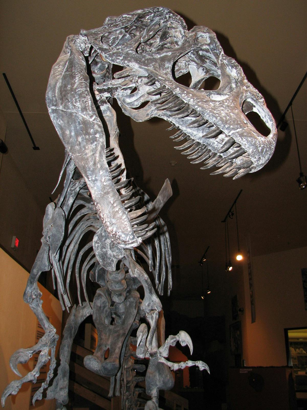 the hands-on, interactive  museum includes paleontology displays. photo 7