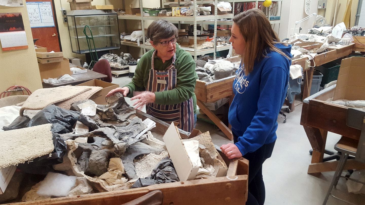 view our our working lab where dinosaur bones are prepared for display. photo 6