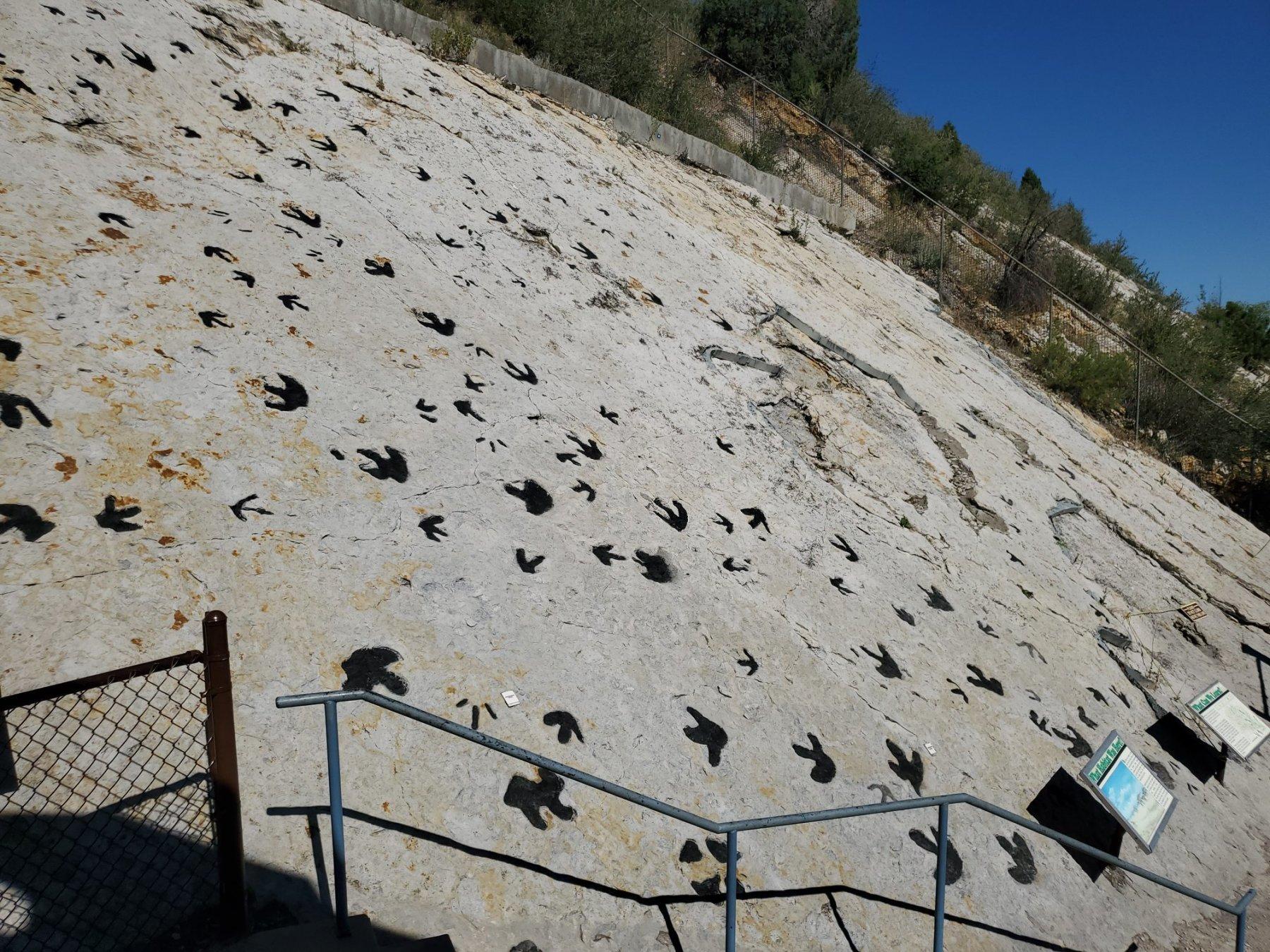 dinosaur ridge photo