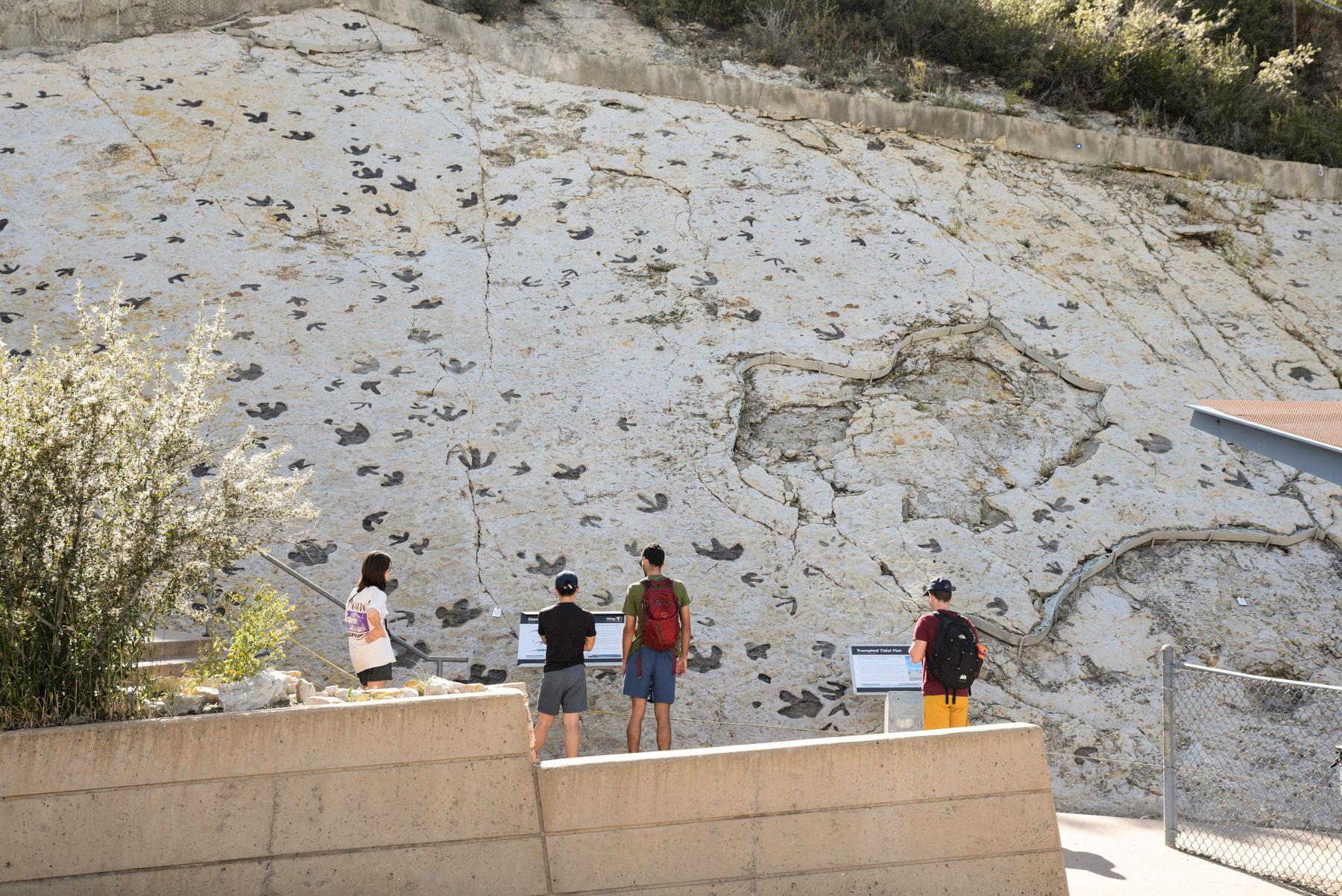 dinosaur ridge photo 4