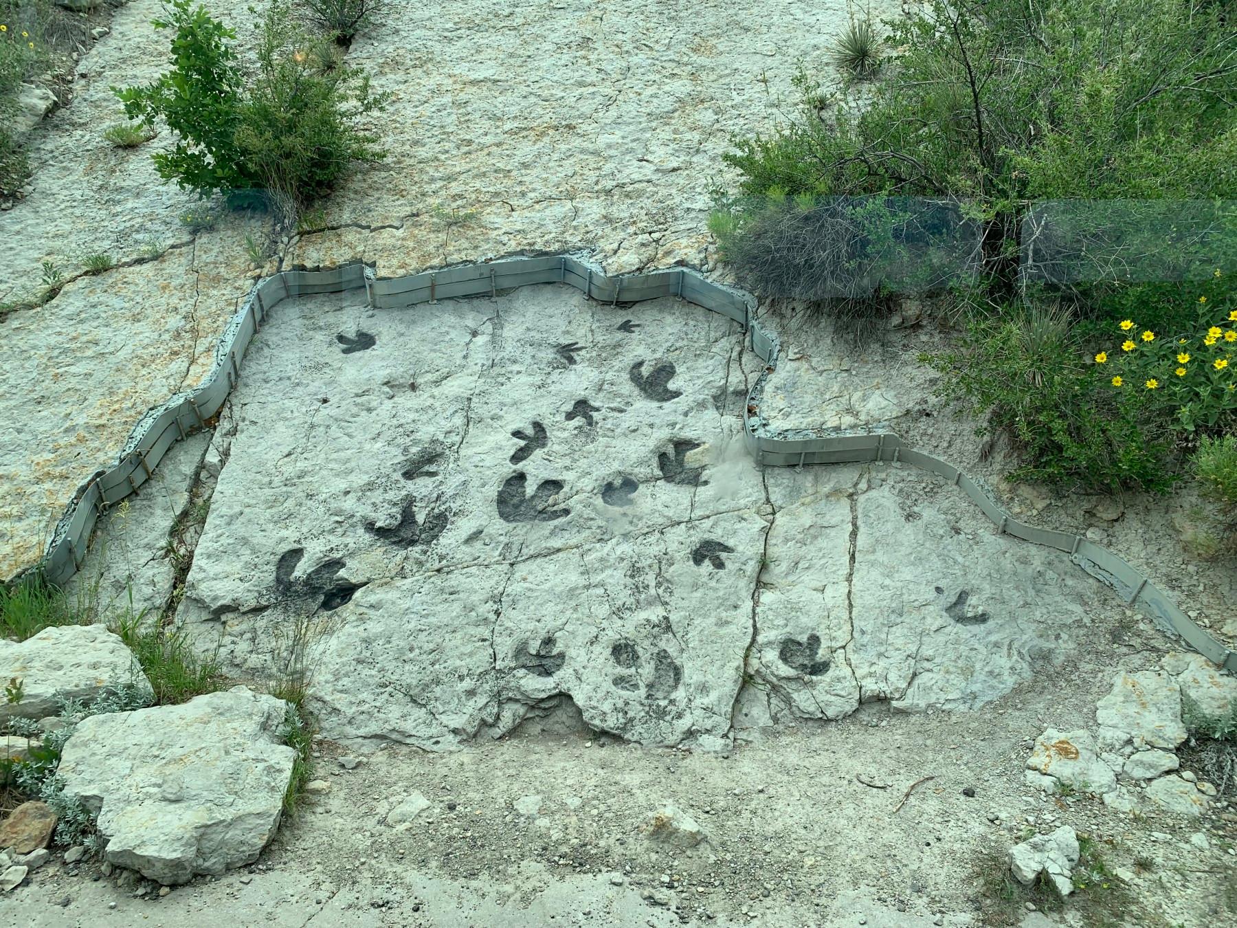 dinosaur ridge photo 10