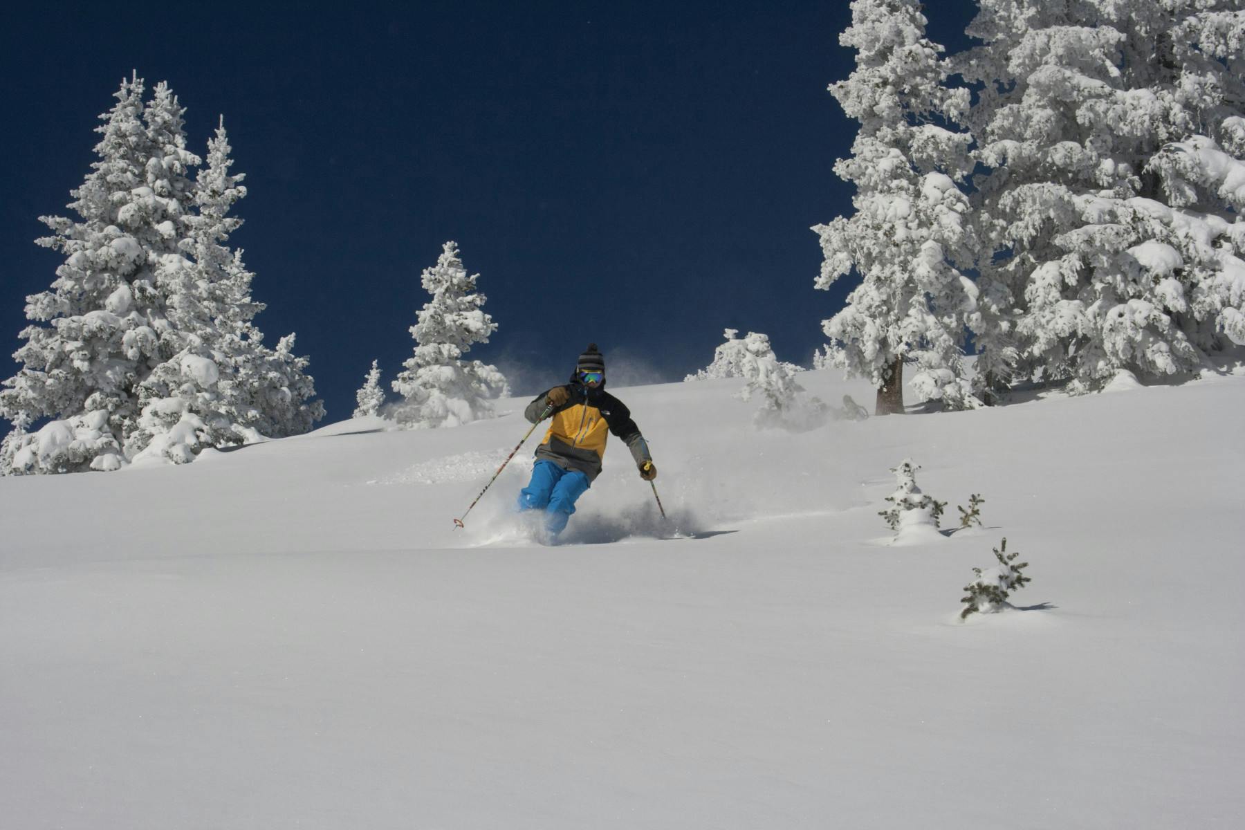 monarch mountain photo 8