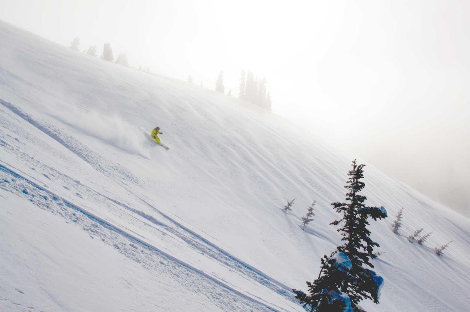 powder days photo 12