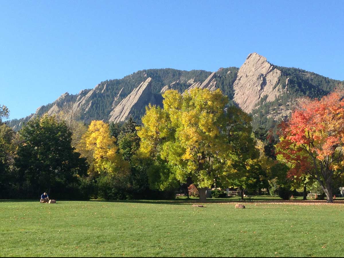 A row of mature trees form a line on one side of a field in Chautauqua Park in Colorado. The foliage ranges from deep green to lime-yellow to orangey-red.