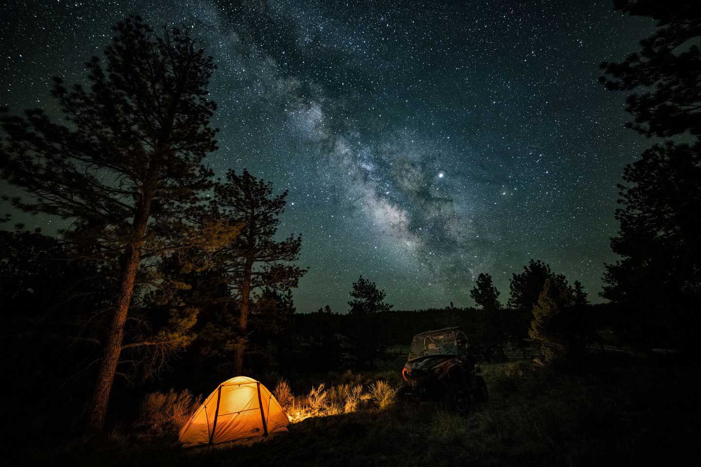 A tent glows in the woods surrounded by towering trees with a starry night sky in the background
