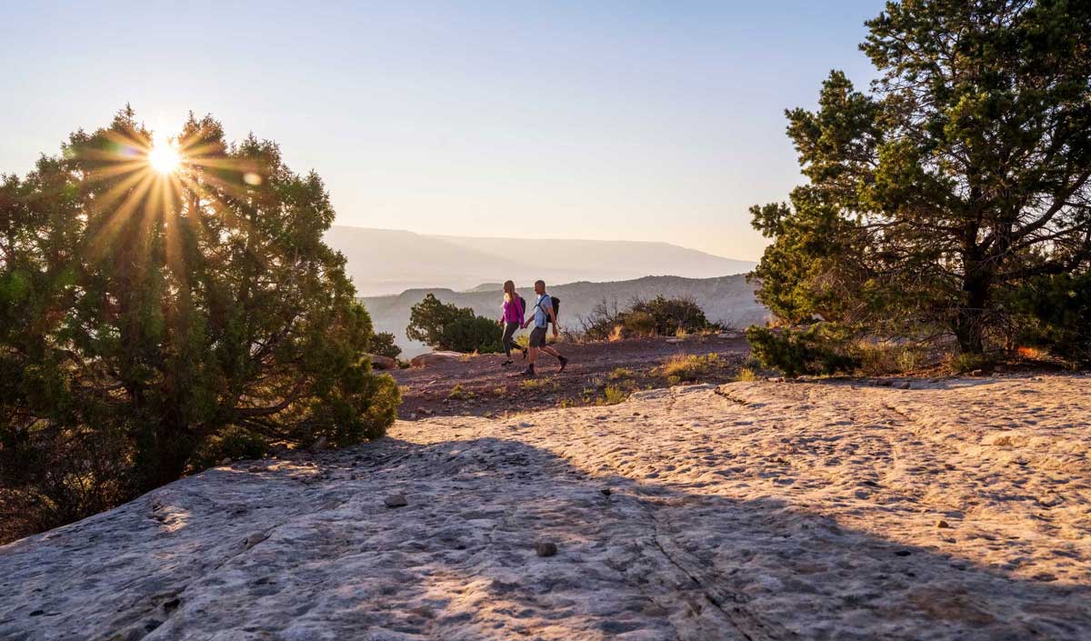 Two hikers walk on the trail as the sun sets behind a tree