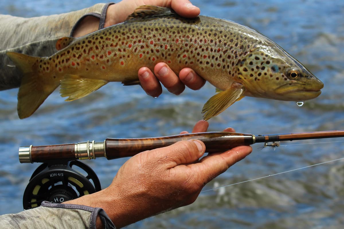 Someone holds a large trout in one hand and their own fly-fishing rod that they made in Pagosa Springs, Colorado. In the background are the rolling waters of the San Juan River.