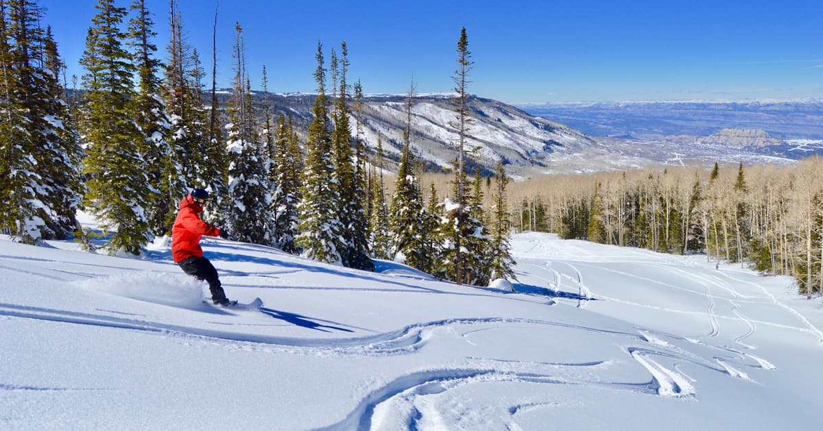 A snowboarder in warm gear zips around fresh powder at Powderhorn Mountain Resort in Grand Junction. There are tall snow-covered pines surrounding the trails and in the distance are vistas of deep-blue mountains.