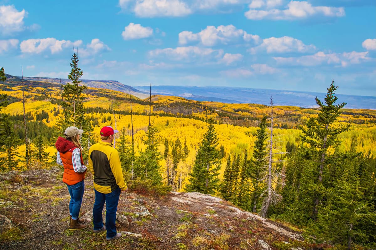 Two people in warm-weather clothing stand side by side gazing out at a magnificent spread of yellow, orange, green and golden leaves before them in Grand Mesa National Forest in Grand Junction, Colorado. The sky above is a light blue and scattered with fluffy gray clouds.