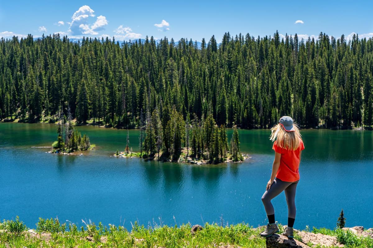 Someone stands on the edge of a hill overlooking the deep-blue waters of Island Lake in Grand Junction. The sun shines down on the scene and bathes the surrounding tall green pine trees in sunlight. The sky abvoe is deep blue.