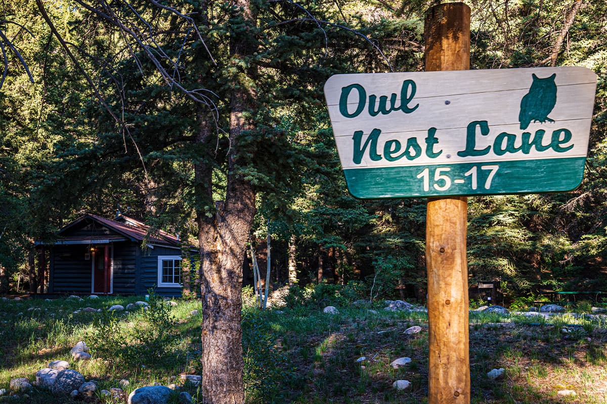 A cabin sits on Owl Nest Lane at Harmels on the Taylor. Pine trees shade it from the summer sun.