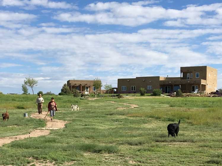 Three Dog Night Guest House