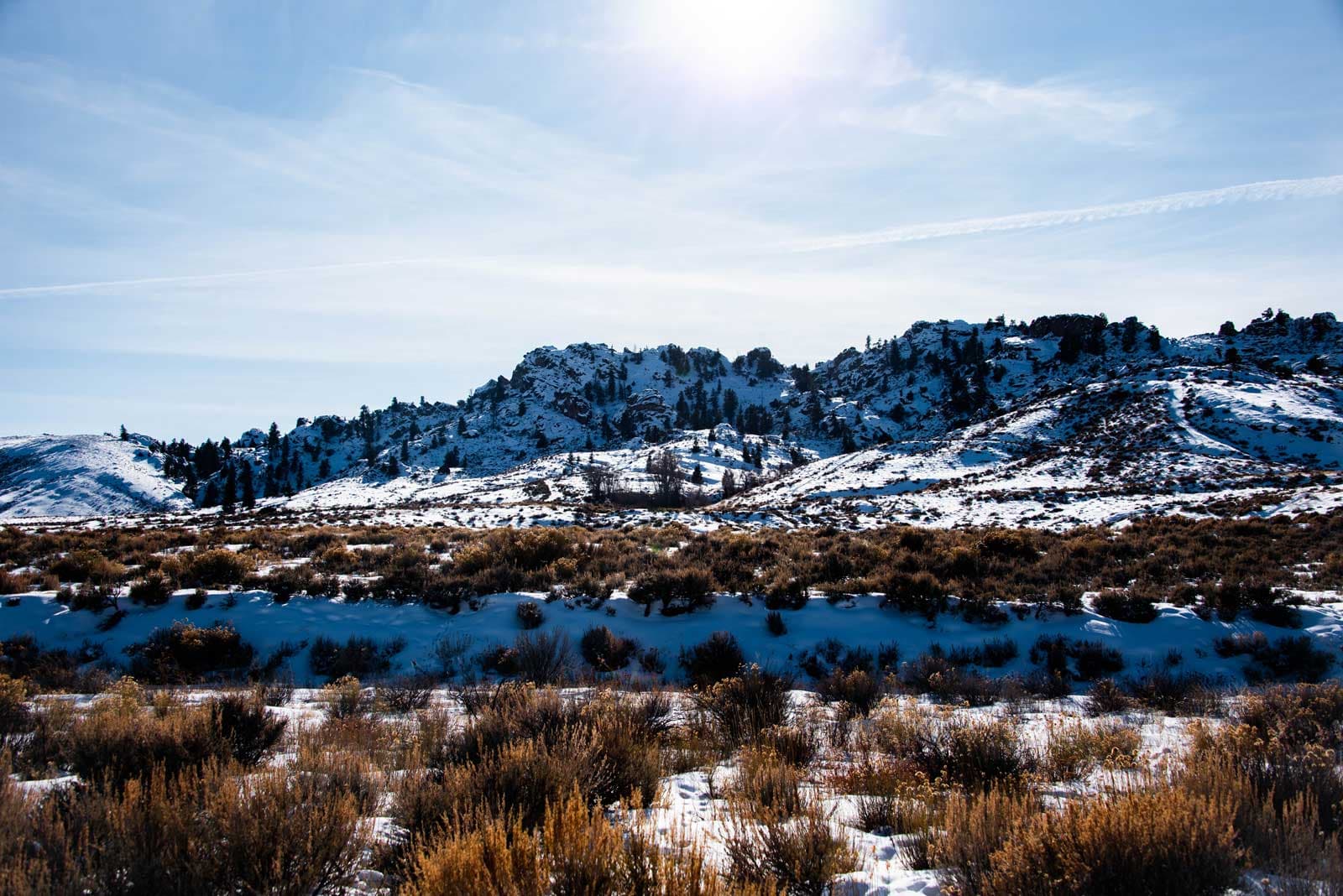 Rolling fields of sagebrush and funky rock formations at Hartman Rocks Recreation Area in Gunnison under a bright-blue sky