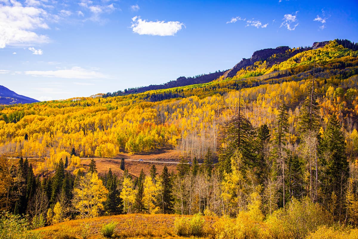 A car winds up a road flanked with orange and gold trees along Kebler Pass near Crested Butte, Colorado.