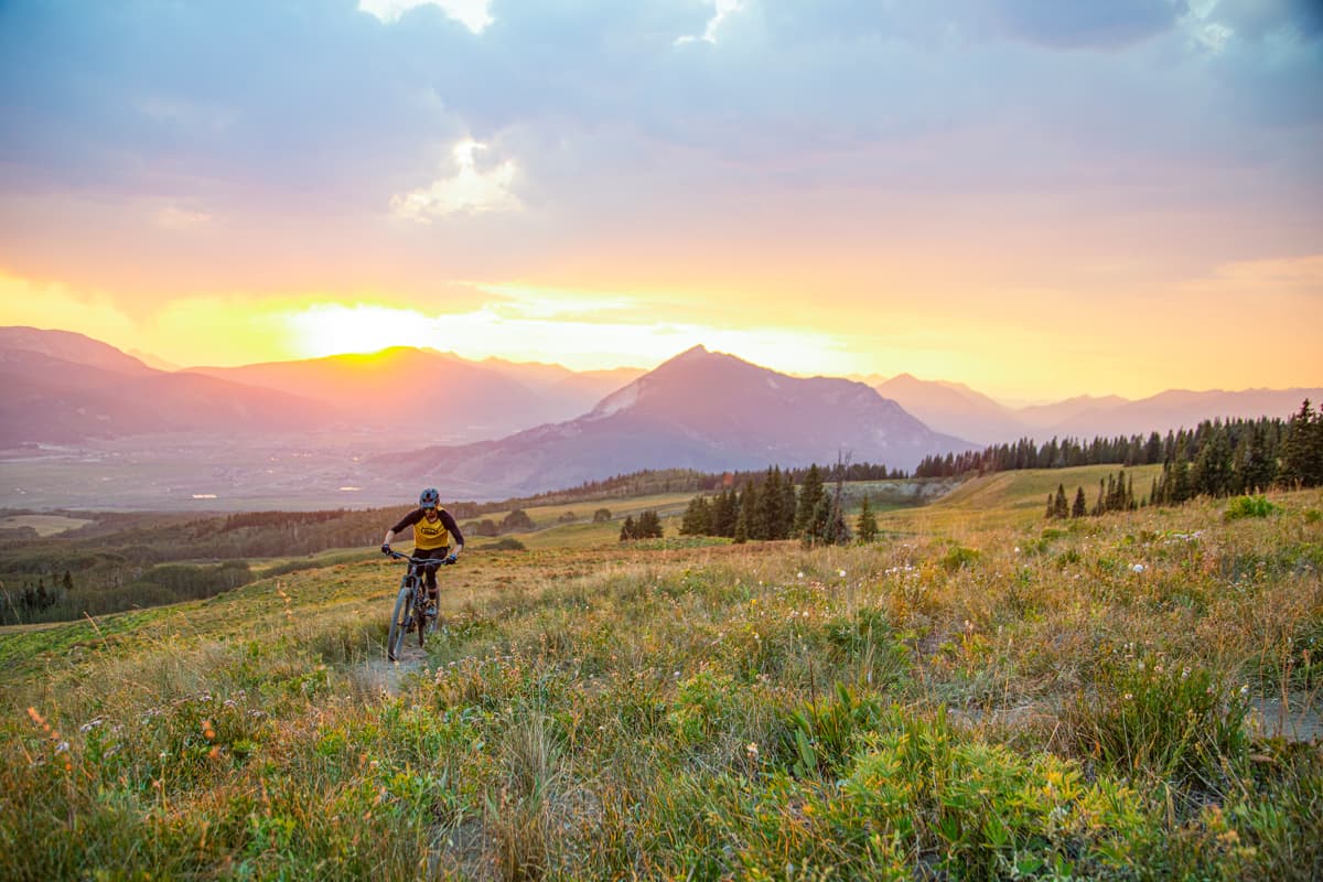 mountain biking through wildflowers with the sun rising over the mountains in Crested Butte Colorado