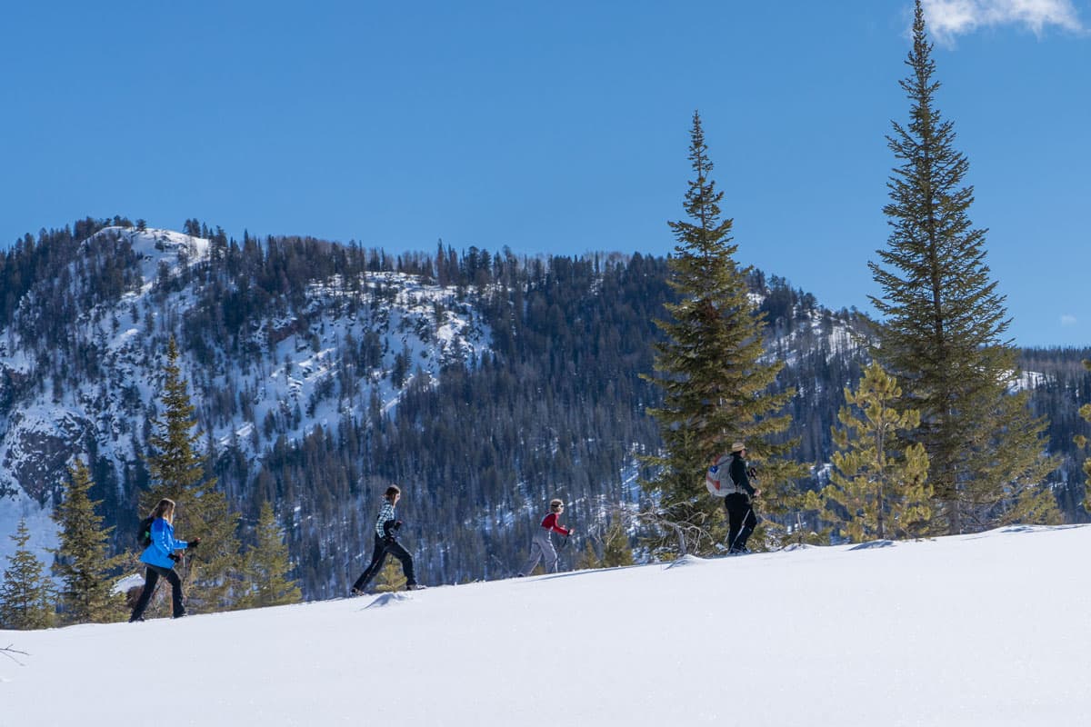 family cross-country skiing with scenic mountain views at Vista Verde in Colorado