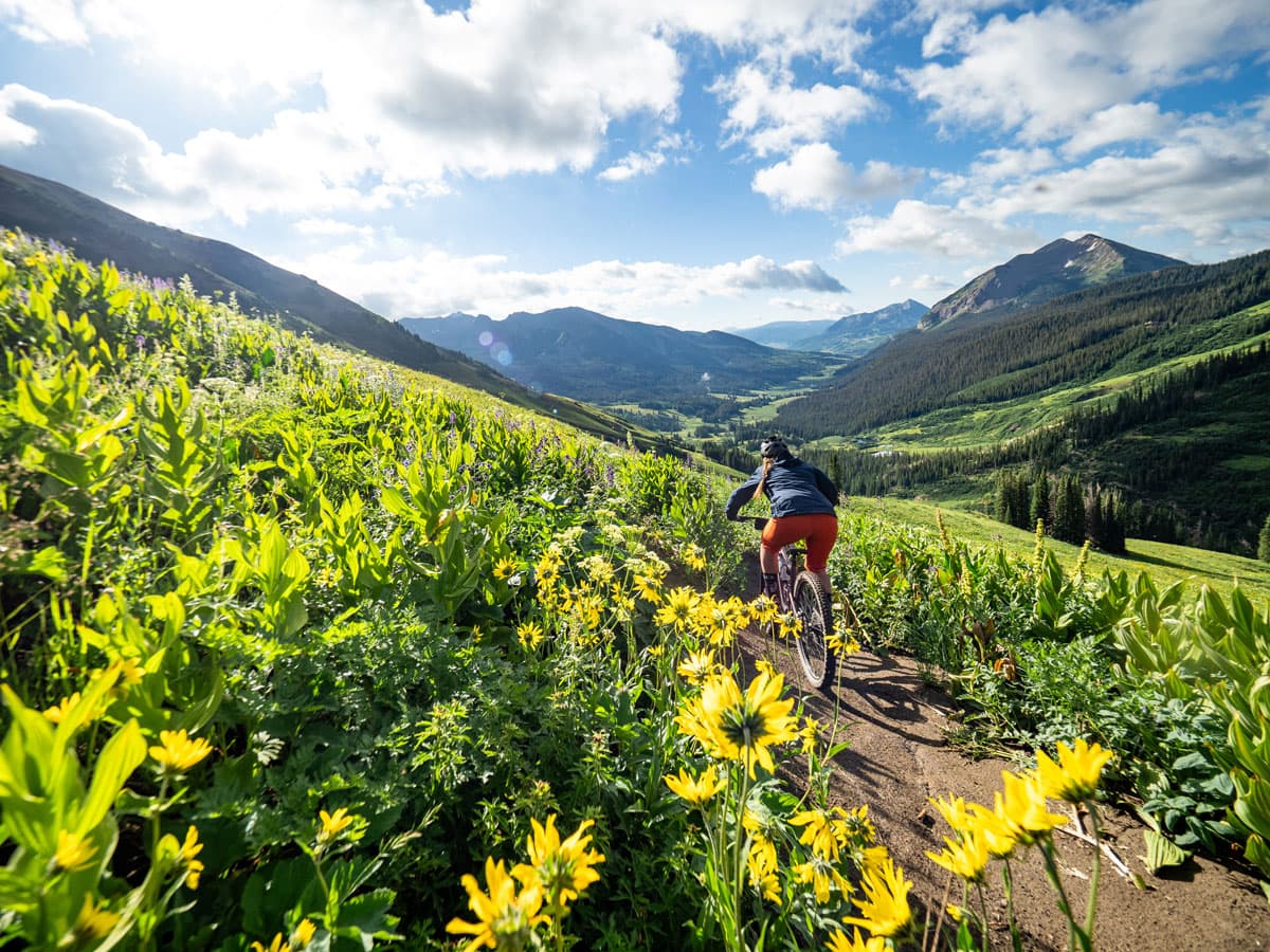 Person mountain biking past yellow wildflowers with open mountain views in Crested Butte, Colorado.
