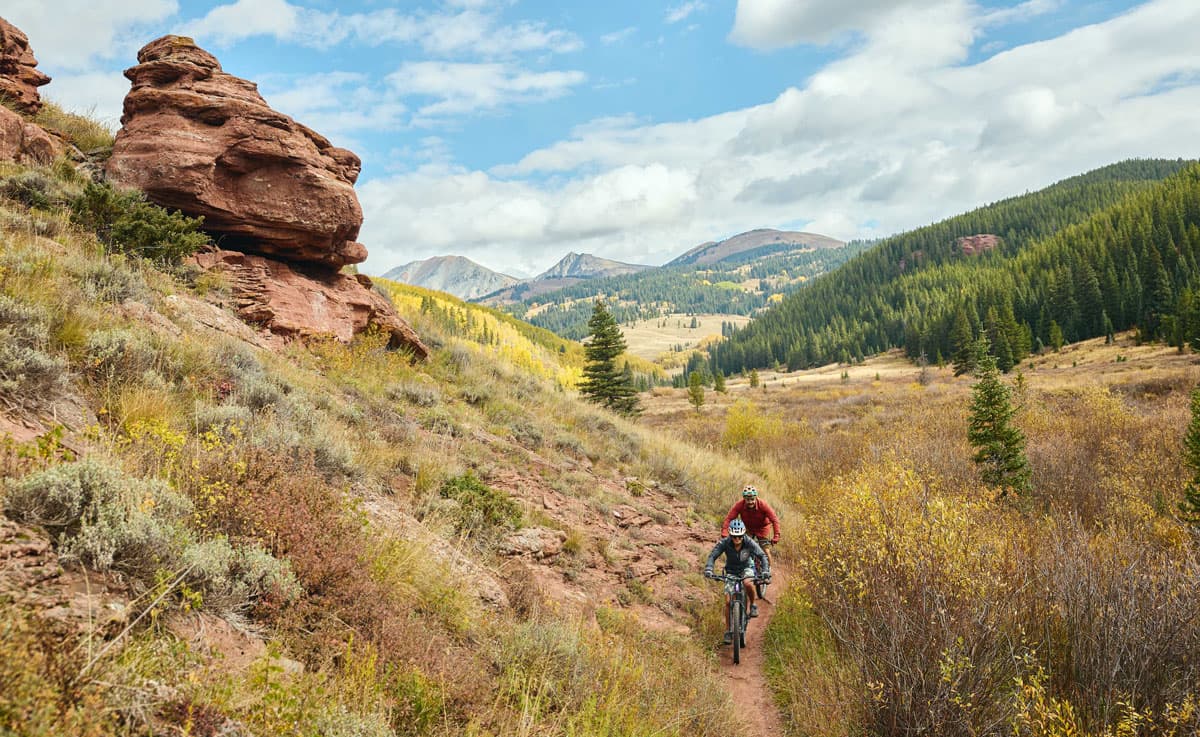 Riders mountain biking through a scenic landscape on a trail with pine trees behind them.