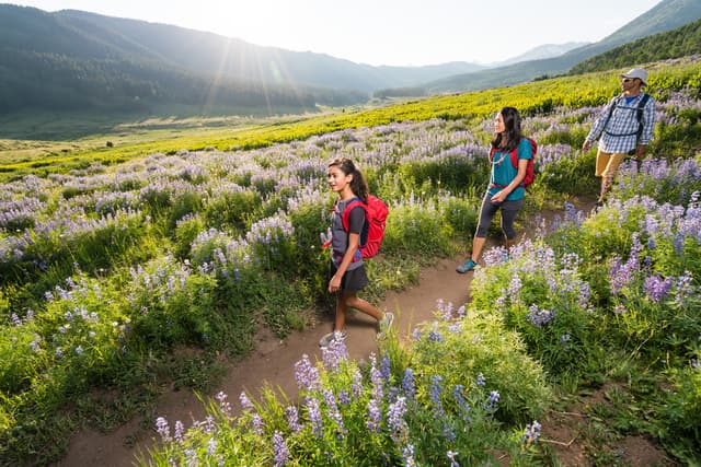 Family hikes through the wildflowers near Crested Butte