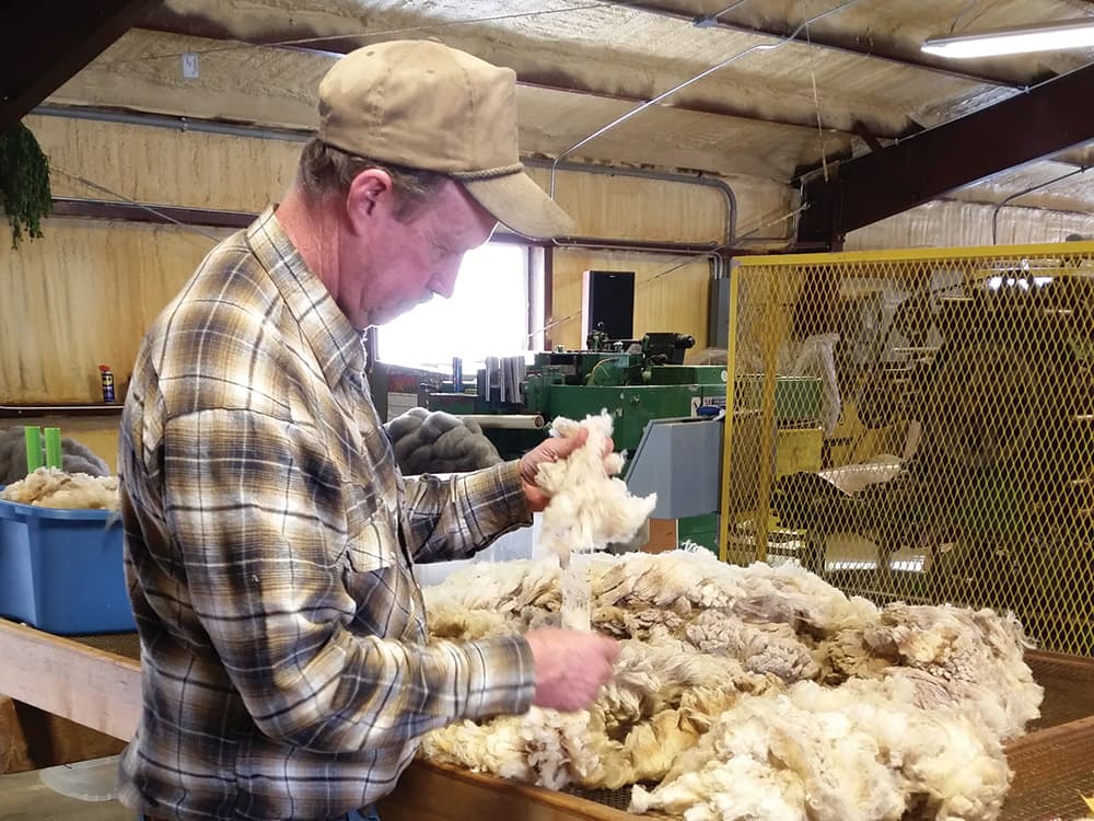 A fabrics artisan works with freshly shorn white fleece at a long wooden table at Yampa Valley Fiberworks in Colorado.
