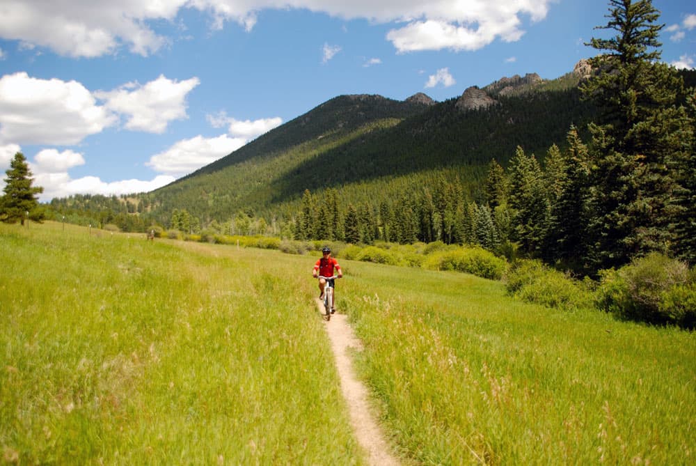 A mountain biker rides singletrack trail surrounded by a grassy field with mountains in the background and blue sky above.