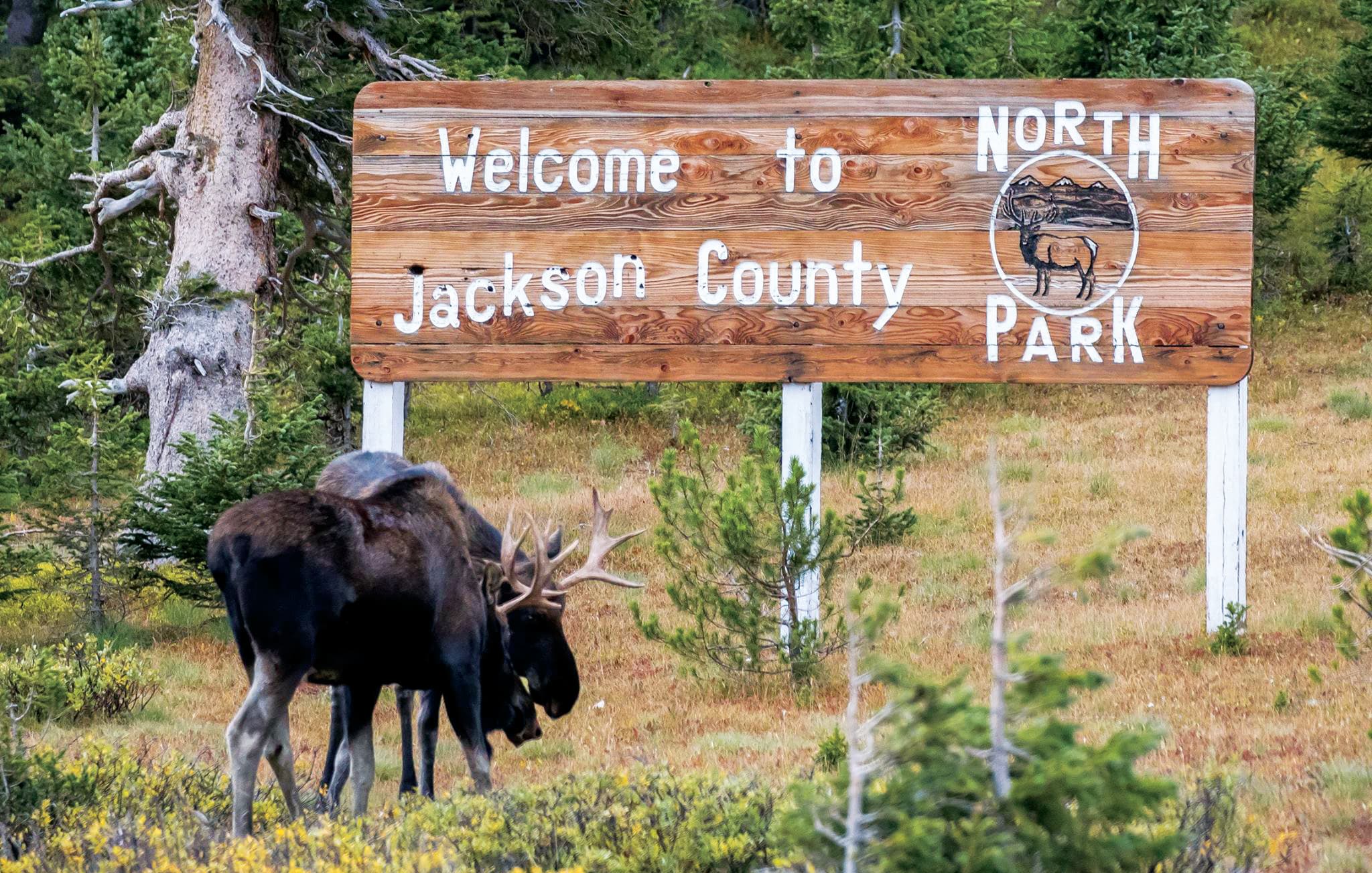 Moose in North Park stands in front of a sign that says Welcome to North Park Jackson County