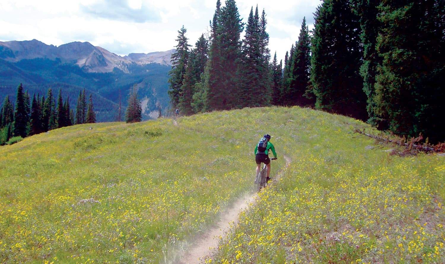 A person biking the Dyke Trail in Crested Butte surrounded by colorful wildflowers with mountains in the background