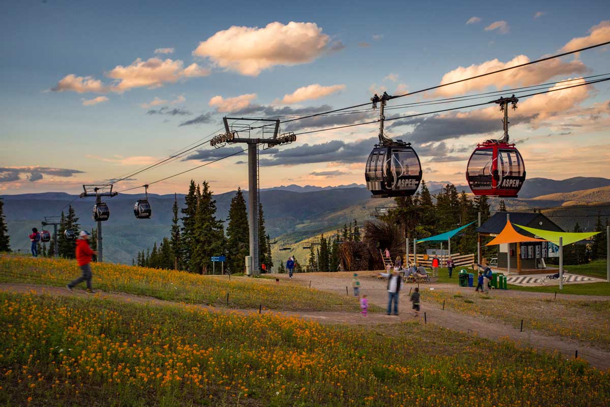 In Aspen, Colorado, adults and children stroll on the dirt path between patches of golden-orange wildflowers and beneath the ski gondola.