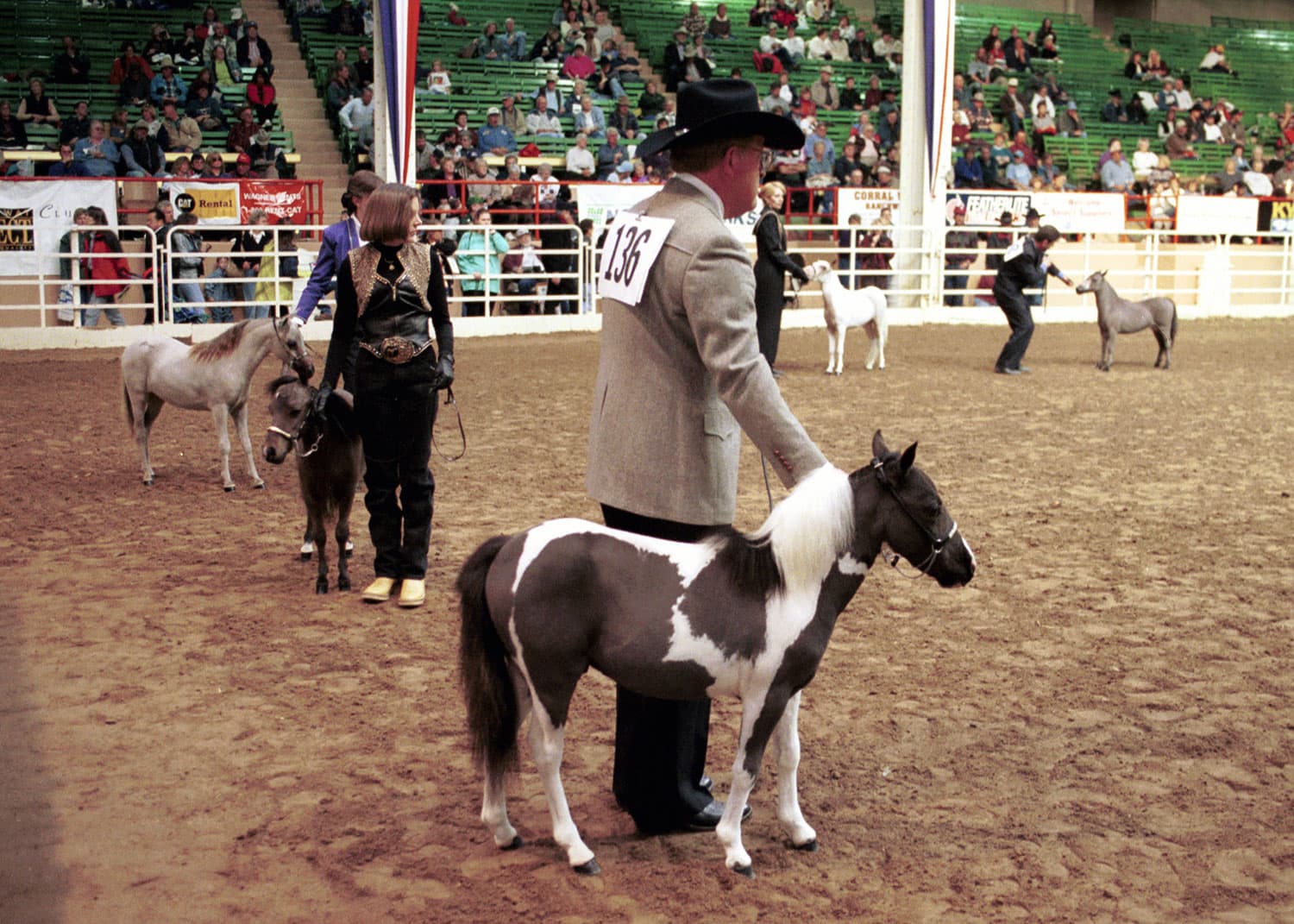 A few people with numbers pinned to the backs of their shirts stand with their white, brown, gray and spotted miniature horses for a miniature horse competition at the National Western Stock Show in Denver.