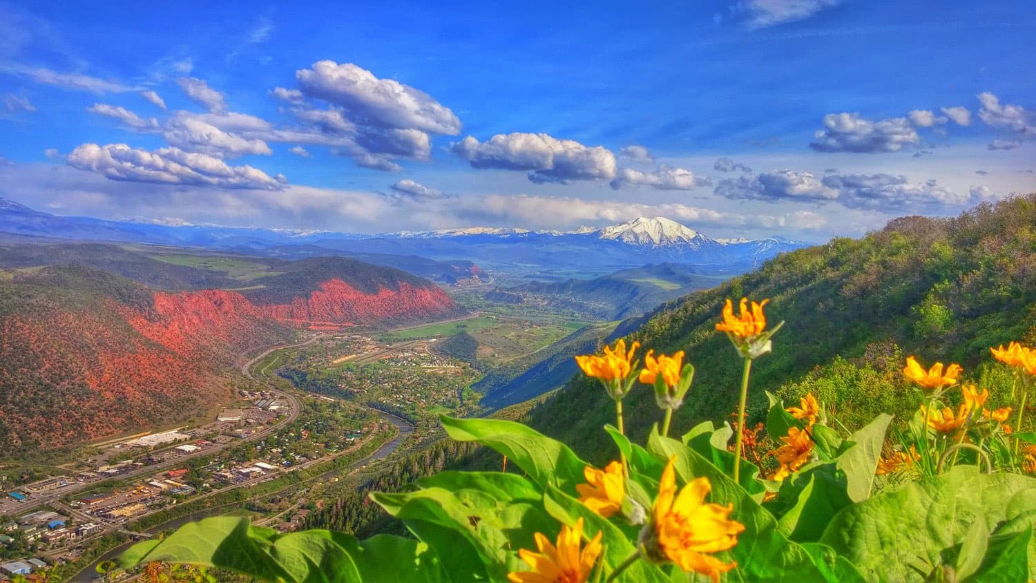 Golden-orange flowers bloom on the side of a mountain in Glenwood Springs, Colorado. Across the valley a pinkish-red mountainside lights up in the sun.