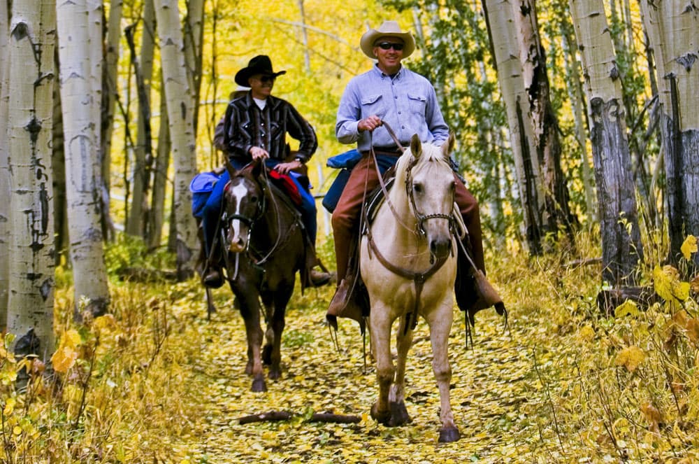 A group of cowpokes with wide-brim hats ride horses down an aspen-line trail in Colorado. It's fall and the golden leaves of the trees cover the path.