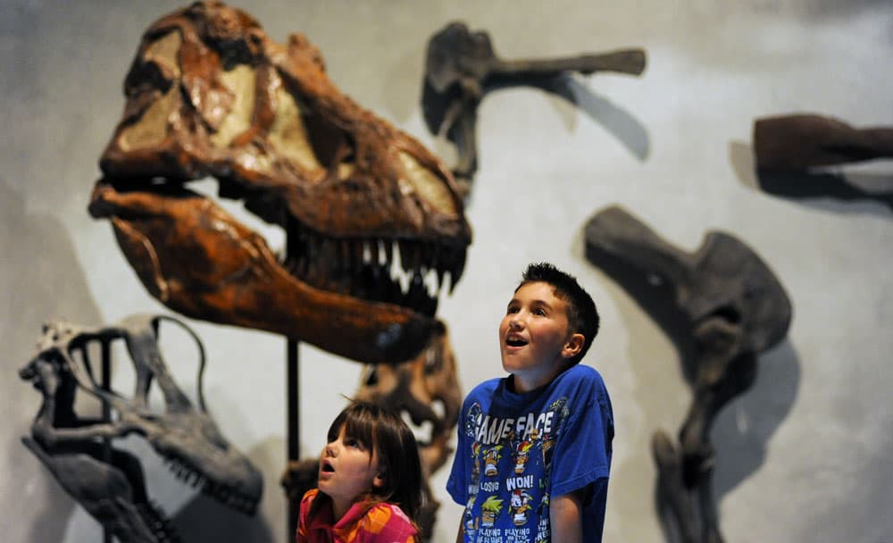 Two children stare with their jaws dropped in awe at something off camera at the Denver Museum of Nature & Science. Behind them, massive fossils are on display.