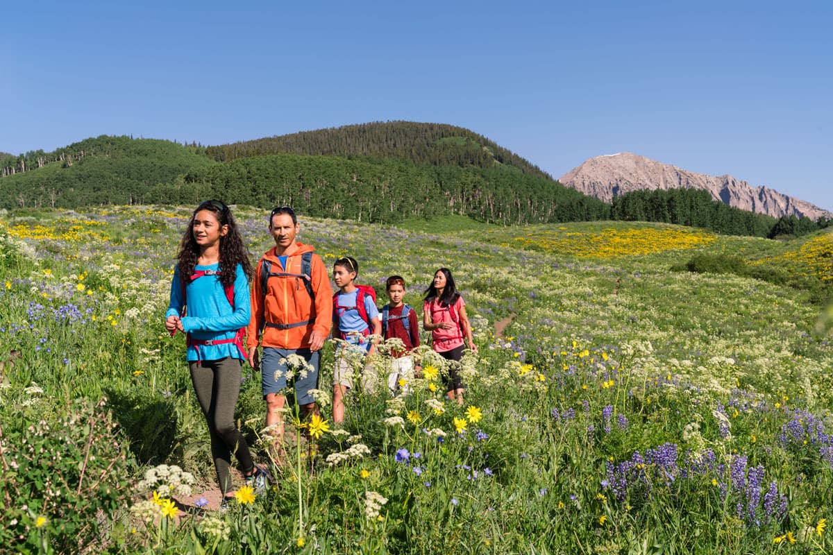 A family of five walks along a trail that cuts through a meadow carpeted in yellow, white and purple wildflowers