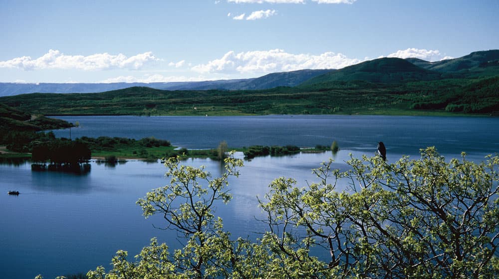 A blue lake lined with green trees