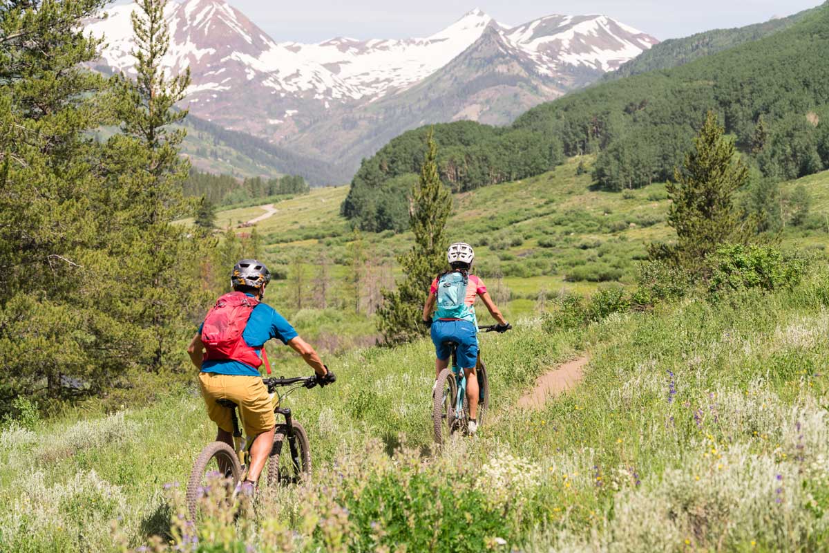 Two bikers follow a winding dirt track through tall a tall grassy meadow dotted with pine trees and wildflowers. Ahead, the track leads towards towering snowy peaks.