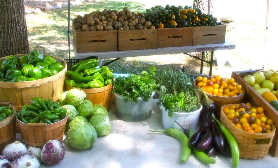 63rd street farm photo