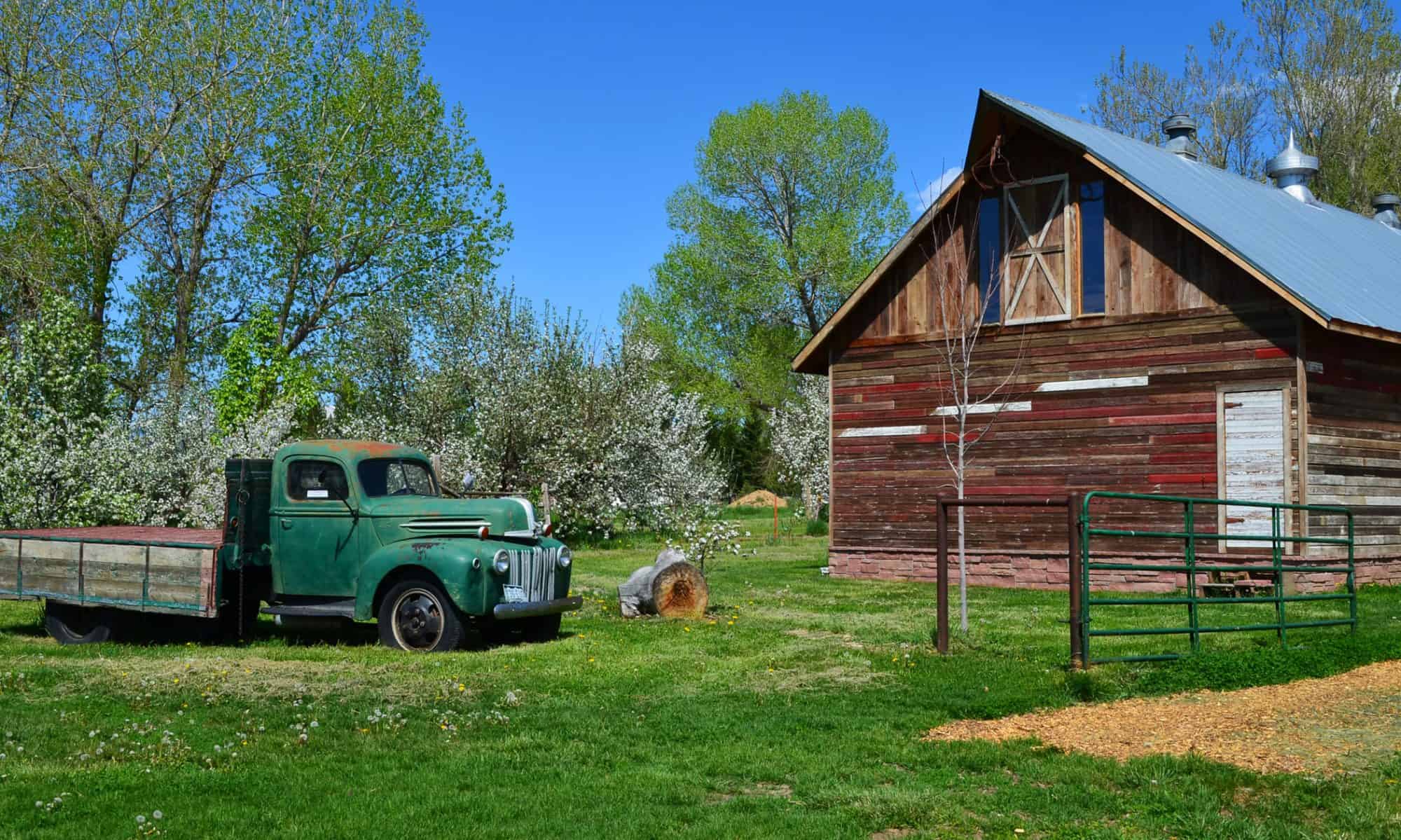 ya ya farm & orchard in longmont photo