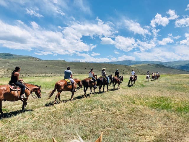 horseback riding photo