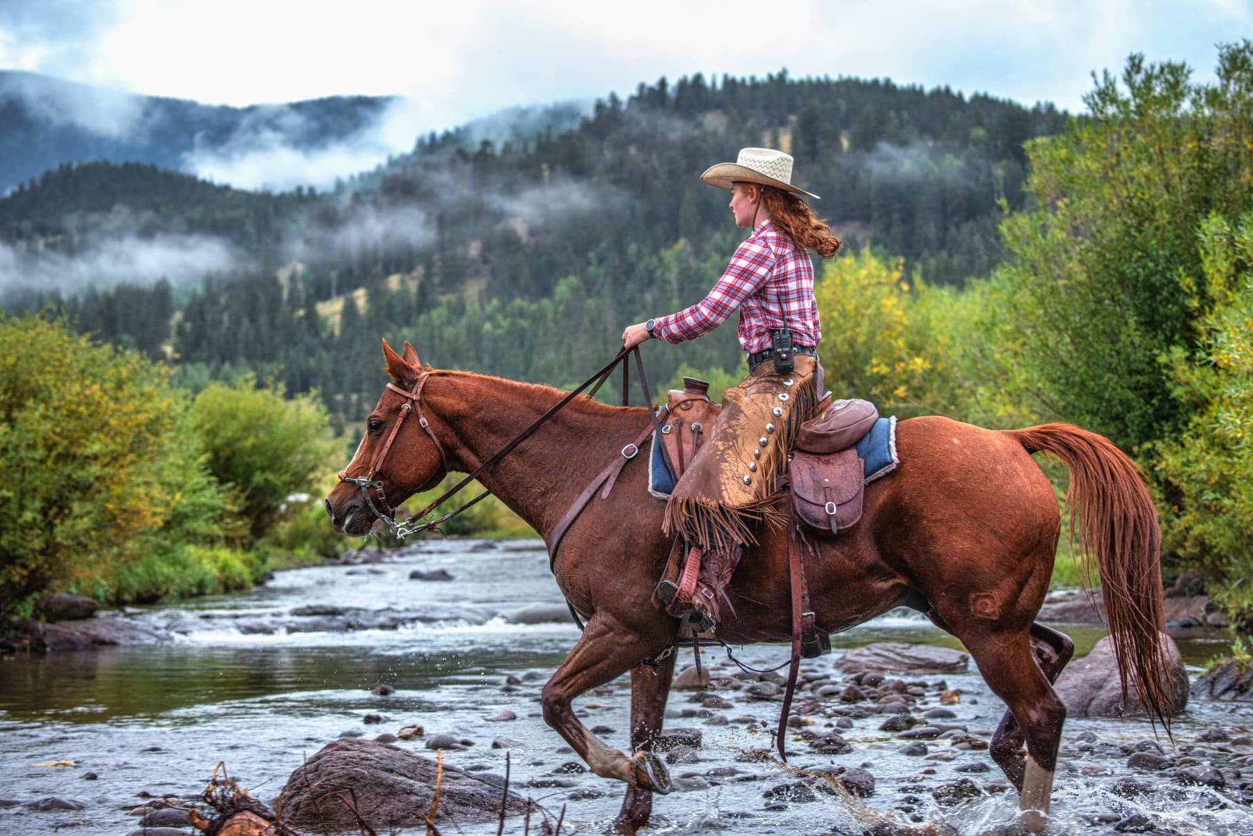 crossing goose creek on horseback photo 6