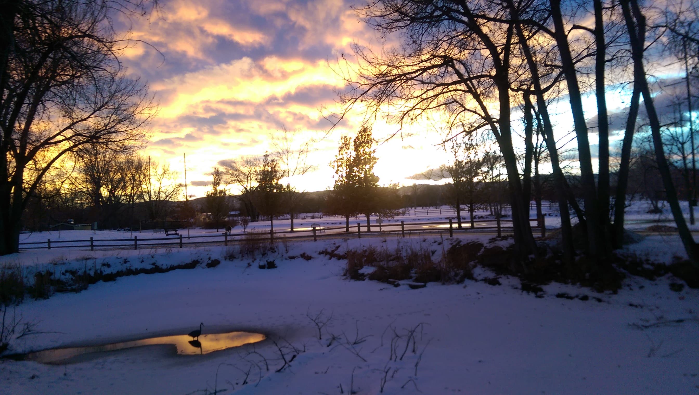 a sunset view in the winter time at hudson gardens. photo