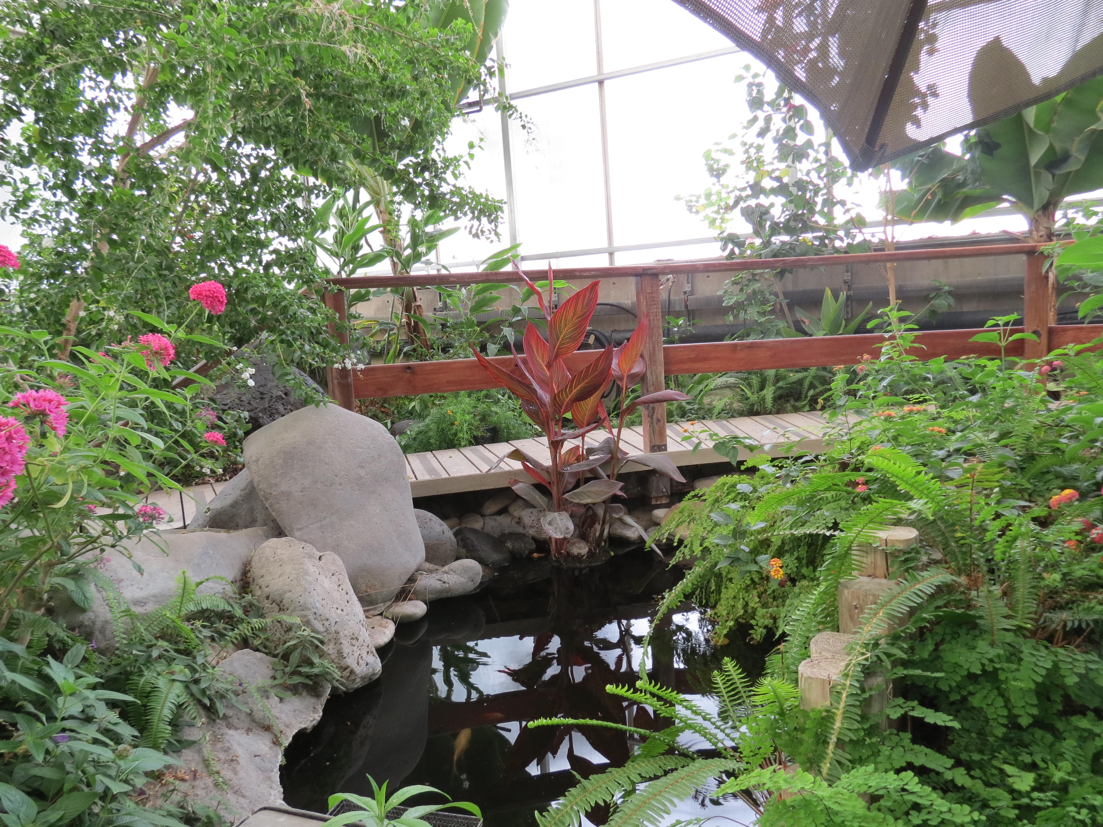 western colorado botanical gardens photo