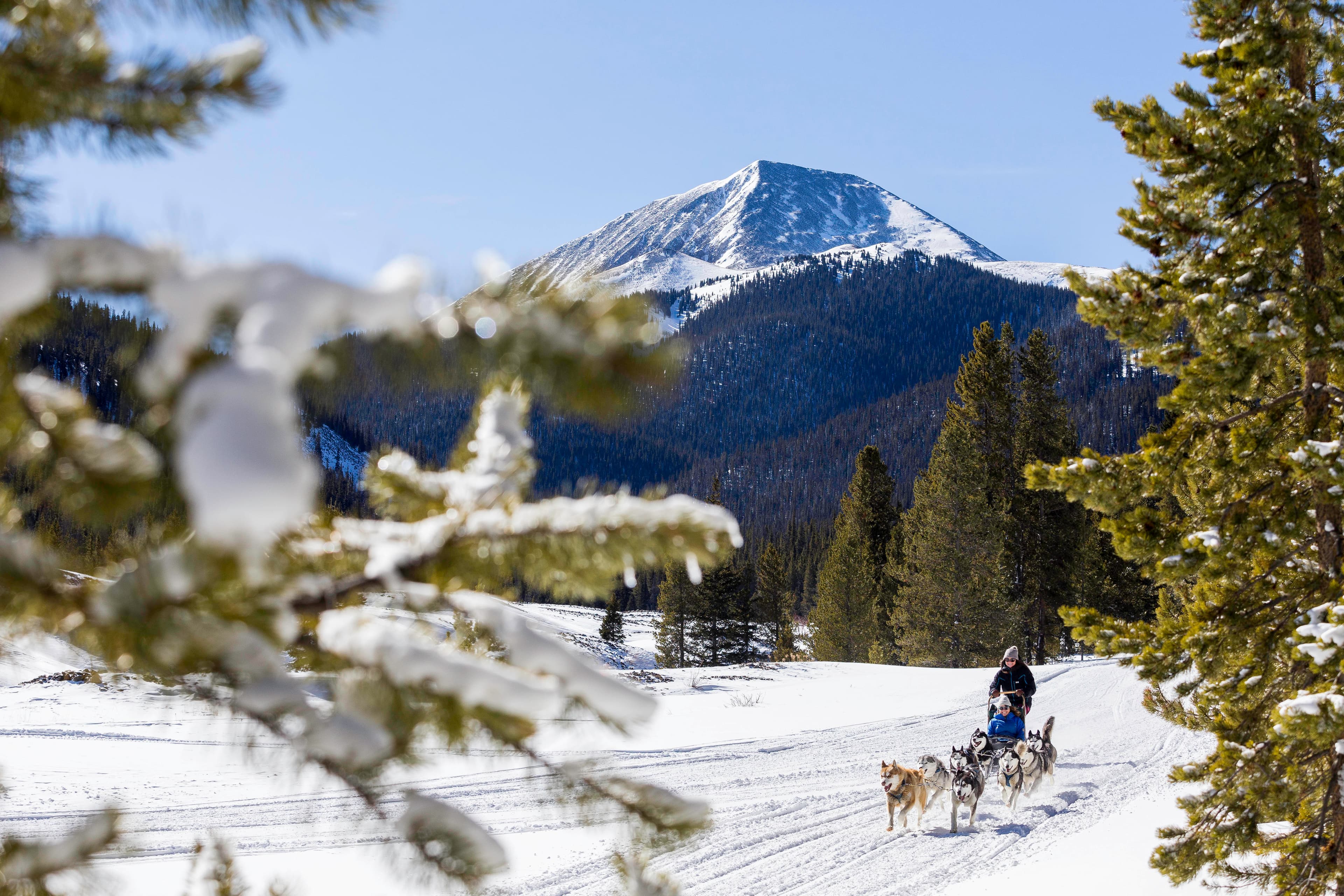 good times adventures photo