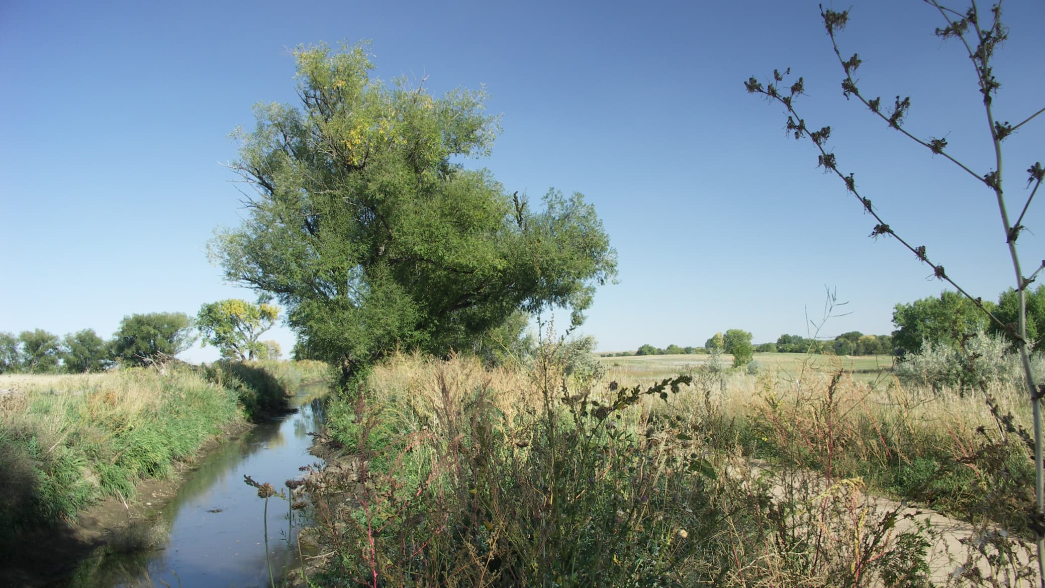 the cottonwood trail on the boulder ale trail photo
