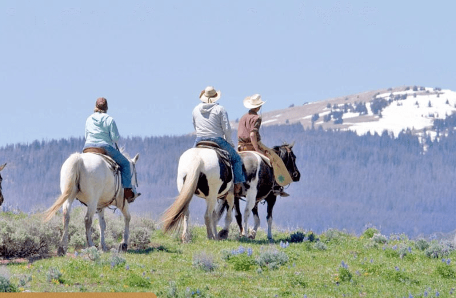 grand county dude ranches photo