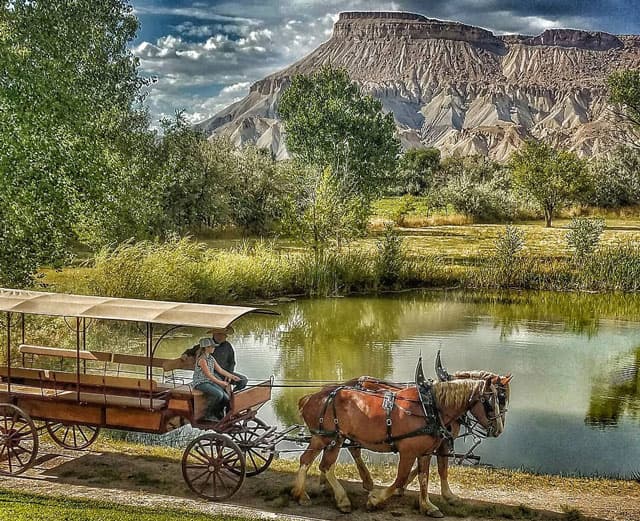 jr's carriage service winery tours in grand junction photo