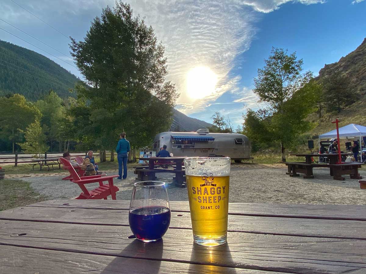 the shaggy sheep in grant photo