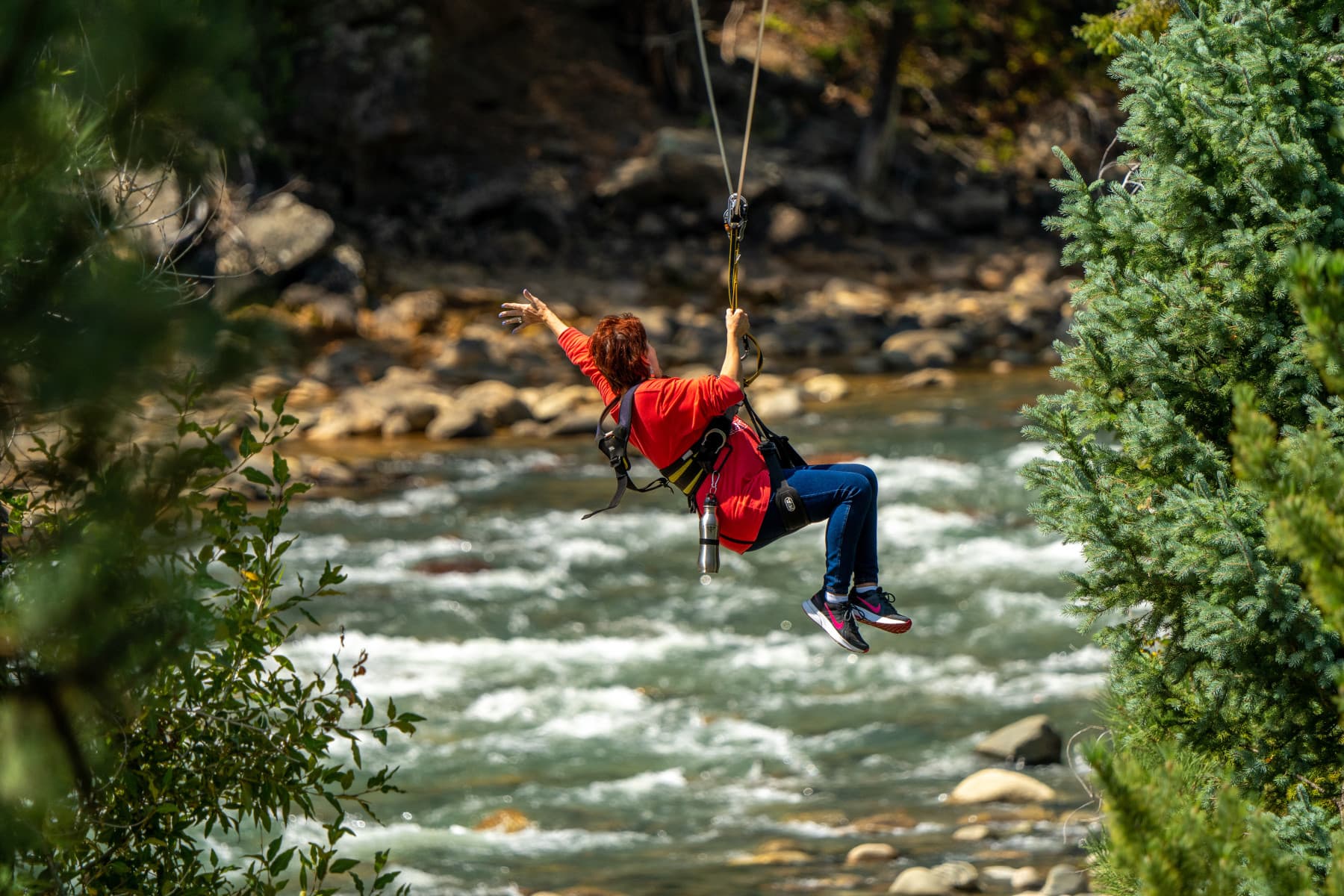 guests of all ages can zip line at soaring tree top adventures photo 17